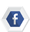follow us on